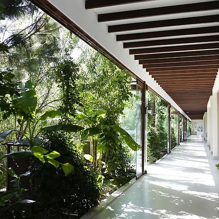 The Lifeco Bodrum Well-Being Detox Center And Vegan Hotel (Adults Only) Golturkbuku Exterior foto