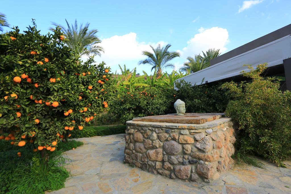 The Lifeco Bodrum Well-Being Detox Center And Vegan Hotel (Adults Only) Golturkbuku Exterior foto
